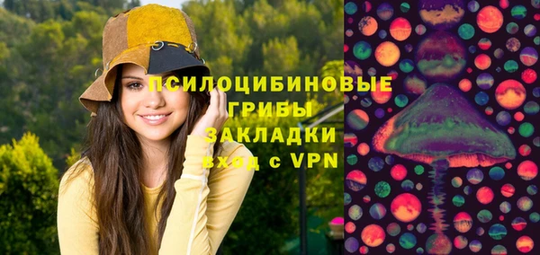 крисы Арсеньев