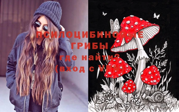 шишки Аркадак